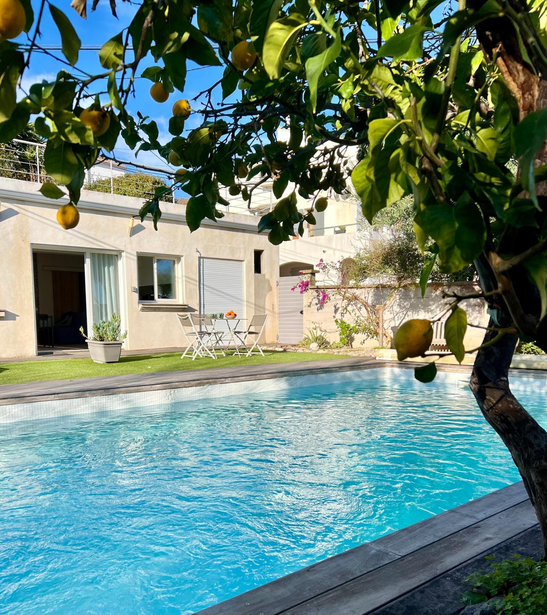 Apartment L'arancetu Vue Avec Piscine